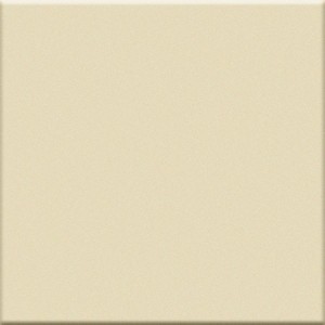 VOGUE TRASPARENZE 20X20 TR SETA (LUCIDA)