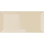 VOGUE TRASPARENZE BISELLO 10X20 TR SETA (LUCIDA)
