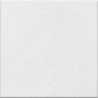 VOGUE FLOORING RF GHIACCIO 20X20 (R10)