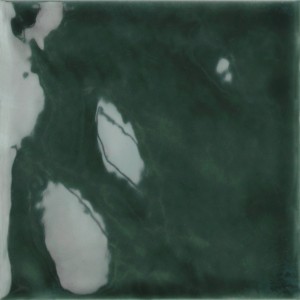 TONALITE FLUID FICUS GLOSSY 12,4X12,4