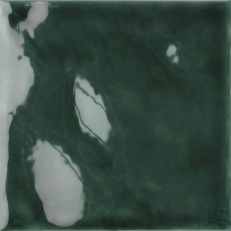 TONALITE FLUID FICUS GLOSSY 12,4X12,4