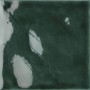 TONALITE FLUID FICUS GLOSSY 12,4X12,4