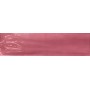 TONALITE JOYFUL PITAYA 10X40