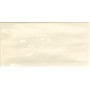 TONALITE JOYFUL BONE 10X20