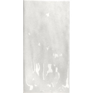 TONALITE NATURE ASH 10X20