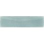 TONALITE NUANCE SALVIA 7X28