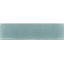 TONALITE NUANCE SALVIA 7X28