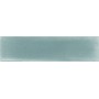 TONALITE NUANCE SALVIA 7X28