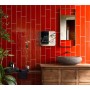 TONALITE PAINTBOARD ROSSO 10X40