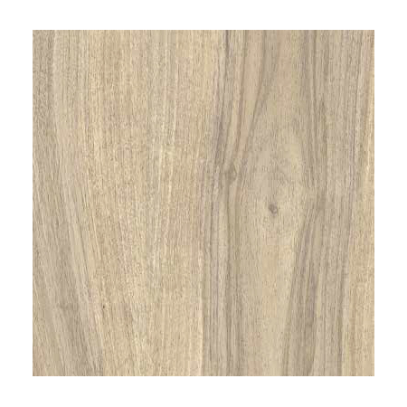 CASTELVETRO CERAMICHE More_outfit Miele 60x60 20mm