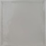 TONALITE SILK POLVERE 15X15