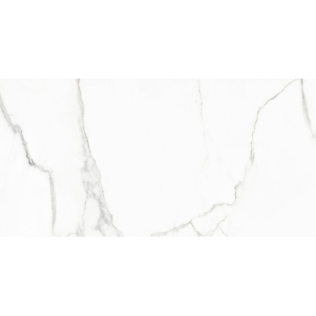 NAXOS RHAPSODY WHITE BEAUTY LEVIGATO 60X120 RETTIFICATO