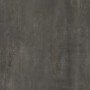 NAXOS TIMELESS ALLUMINIUM NATURALE 60X60 R9