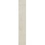 MARAZZI TREVERKWAY ACERO 15X90

MARAZZI TREVERKWAY ACERO 15X90