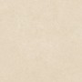 CERIM ELEMENTAL STONE CREAM SANDSTONE BOCCIARDATO 60X60 - Sp. 20 mm
