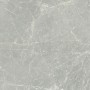CERIM EXALT SILVER LIGHT NATURALE 60X60