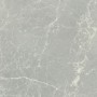CERIM EXALT SILVER LIGHT NATURALE 60X60