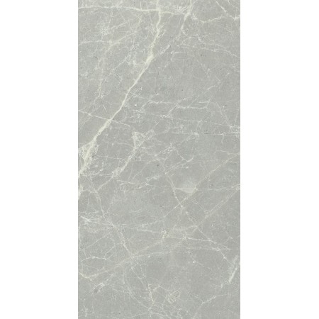 CERIM EXALT SILVER LIGHT NATURALE 30X60