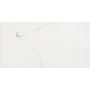 CERIM TIMELESS CALACATTA LUCIDO 60X120