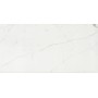 CERIM TIMELESS CALACATTA NATURALE 60X120