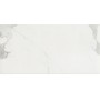 CERIM TIMELESS CALACATTA NATURALE 60X120
