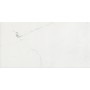 CERIM TIMELESS CALACATTA NATURALE 60X120