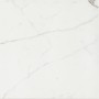 CERIM TIMELESS CALACATTA NATURALE 60X60