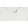 CERIM TIMELESS CALACATTA NATURALE 30X60