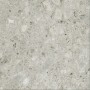 CERIM TIMELESS CEPPO DI GRÈ LUCIDO 60X60