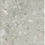 CERIM TIMELESS CEPPO DI GRÈ LUCIDO 60X60