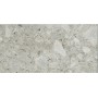 CERIM TIMELESS CEPPO DI GRÈ LUCIDO 30X60