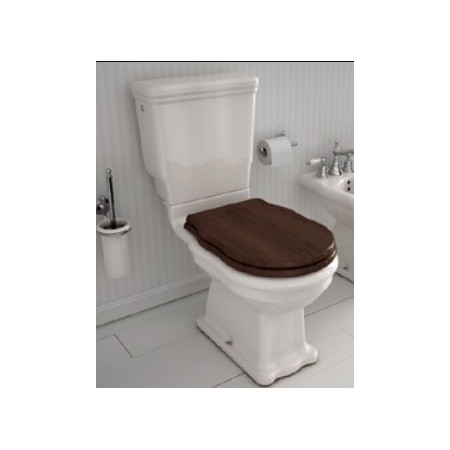 HIDRA  ELLADE WC MONOBLOCCO RIMLESS CON SCARICO A PARETE