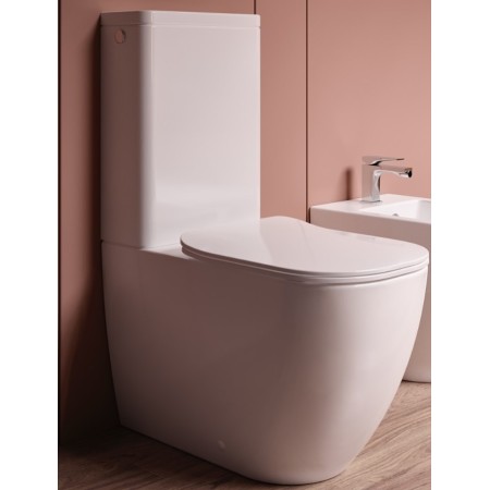 HIDRA  FASTER VASO MONOBLOCCO RIMLESS FILOMURO TRASLATO