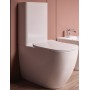 HIDRA  FASTER VASO MONOBLOCCO RIMLESS FILOMURO TRASLATO