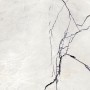 FLORIM - FLOOR GRES B&W BREACH NATURALE 60x60 RETTIFICATO