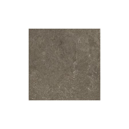 RAGNO CERAMICHE REALSTONE_LUNAR UNIFORM 60X60 RETTIFICATO