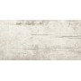 PLANT POWDER 30X60 rektifizierte