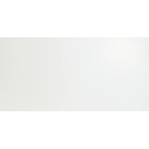 ATLAS CONCORDE 3d wall Solid White Matt 40x80 Matt