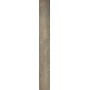 FISSORE.com SANT'AGOSTINO NATURE BROWN 15X120 RETT (STOCK DPF)
